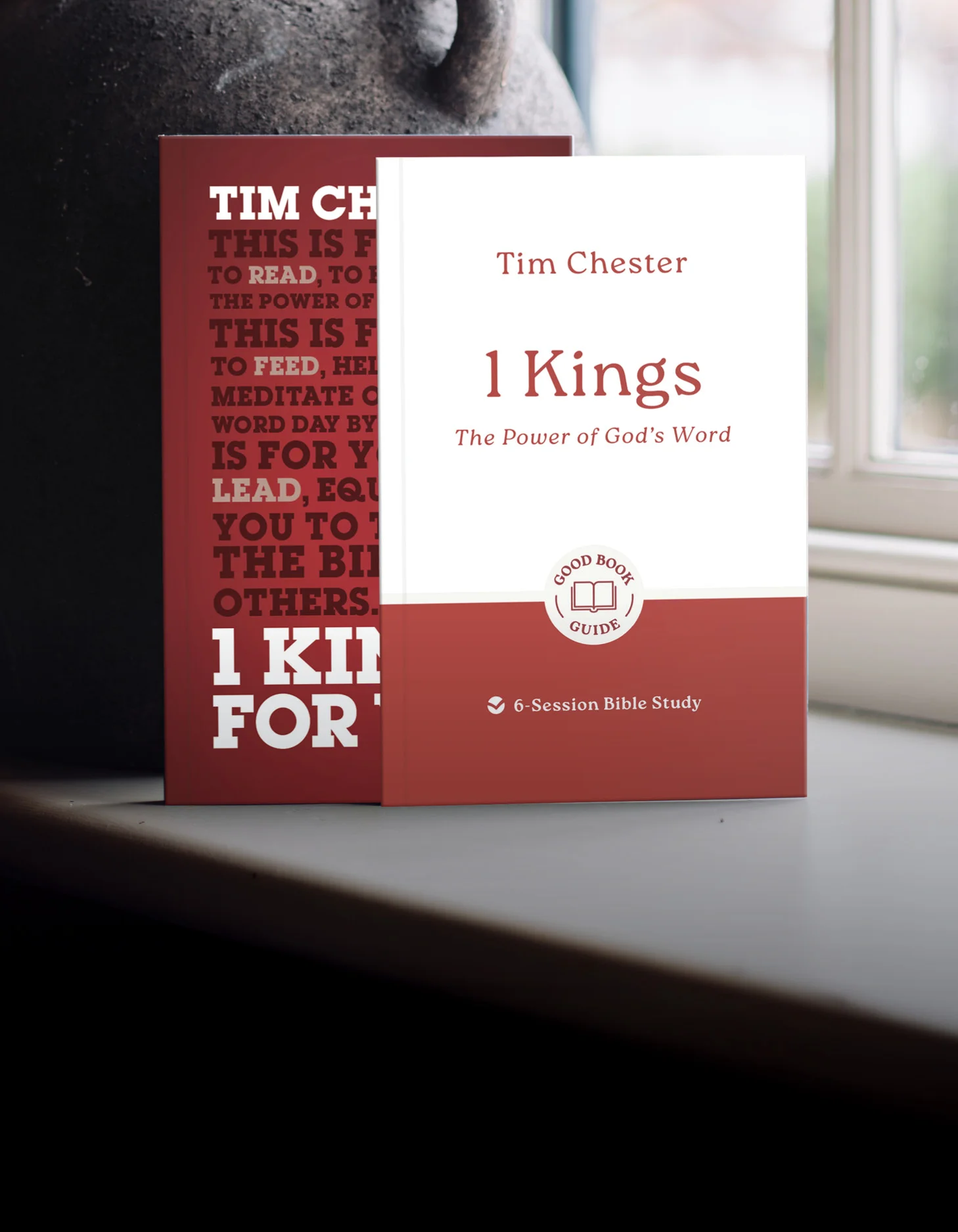 Photograph of 1 Kings For You and 1 Kings Good Book Guide in a window sill